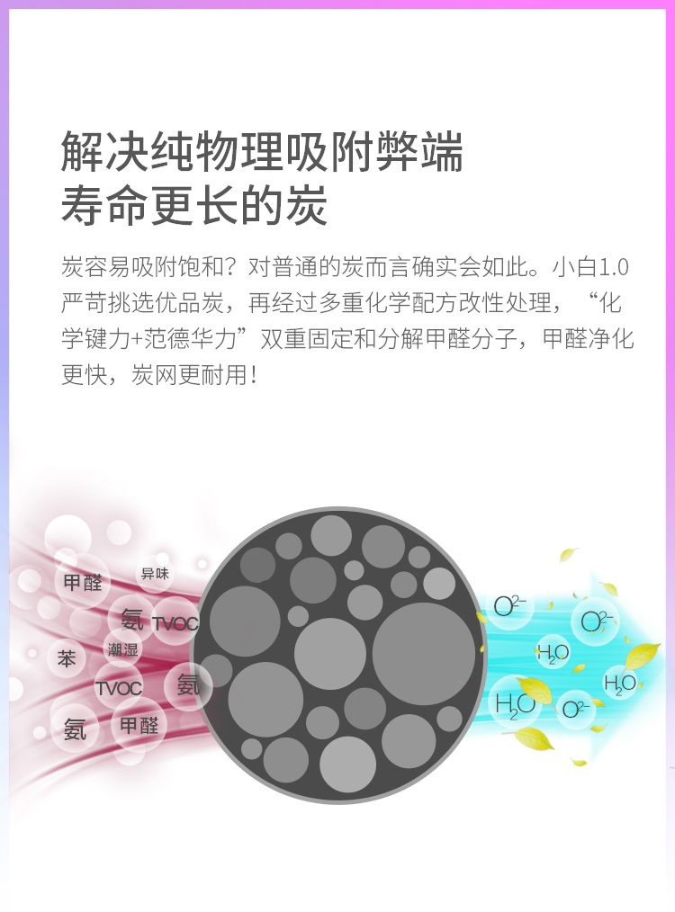 小白1.0_05.jpg